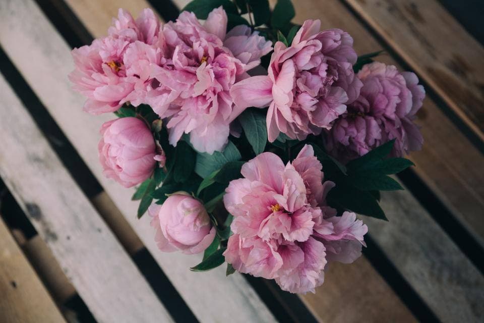木のプランクに置いた、やわらかなピンクの芍薬のブーケ