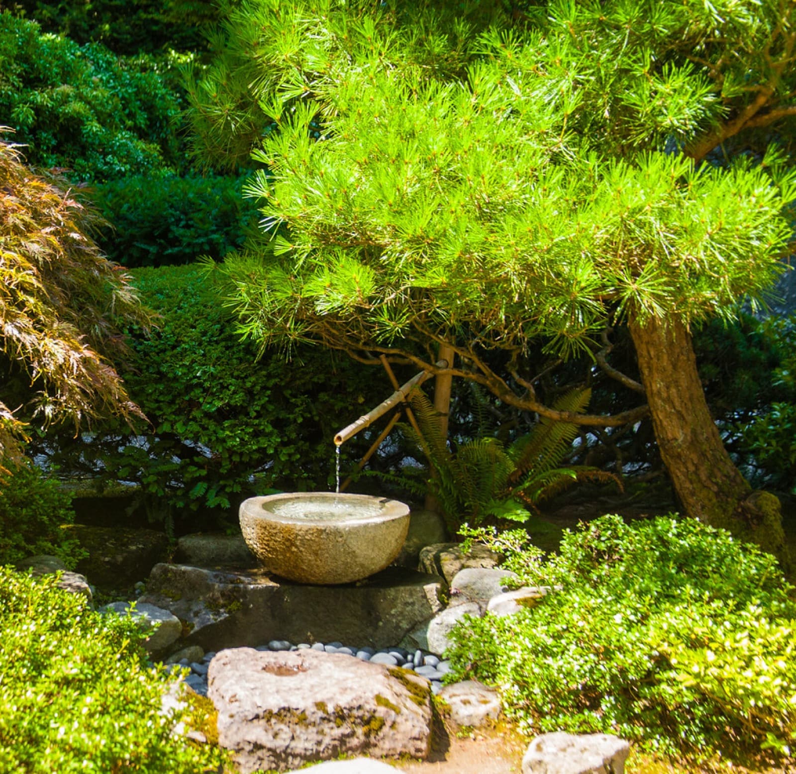 手水舎の石の水盤と柄杓