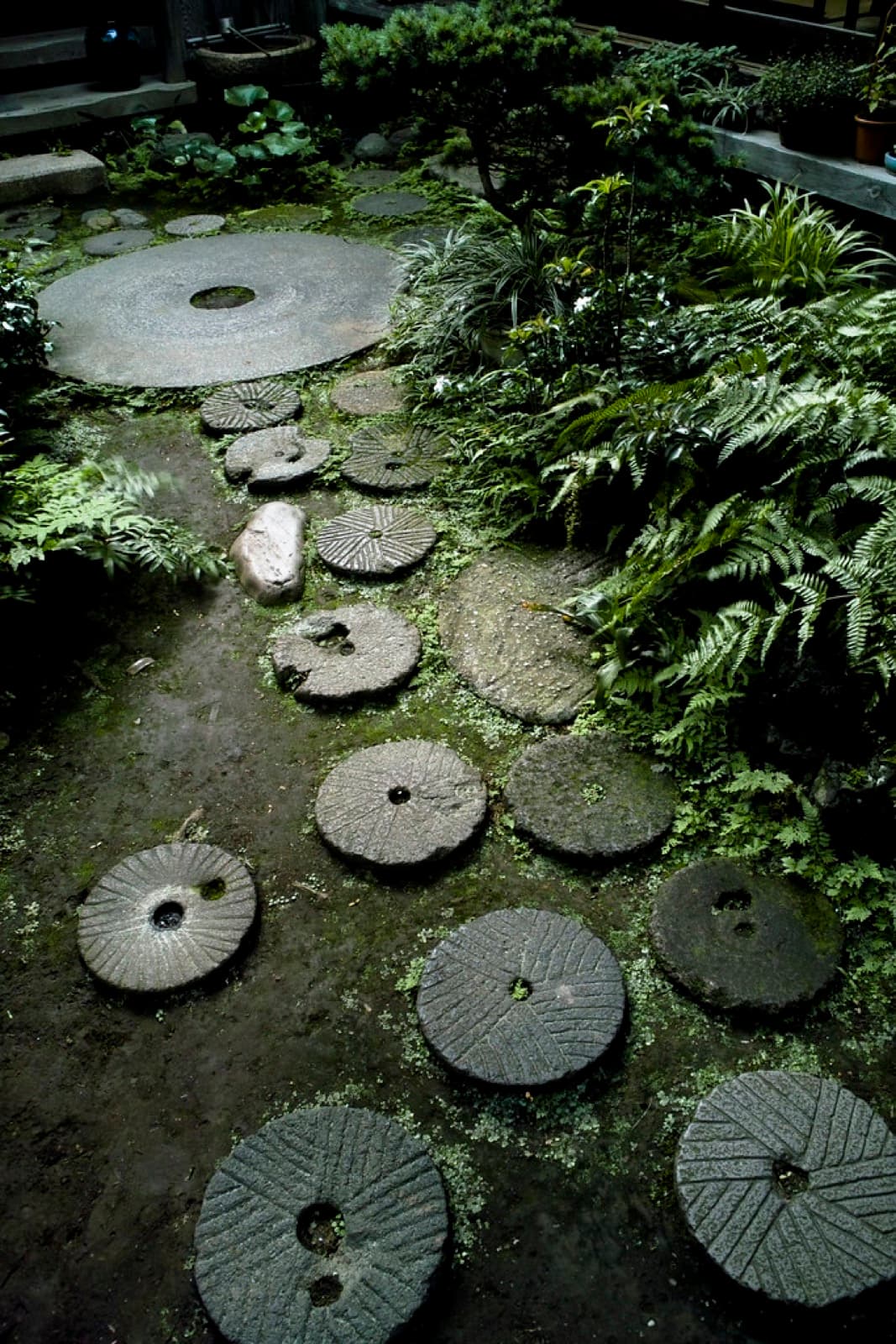 苔と石の静かな庭
