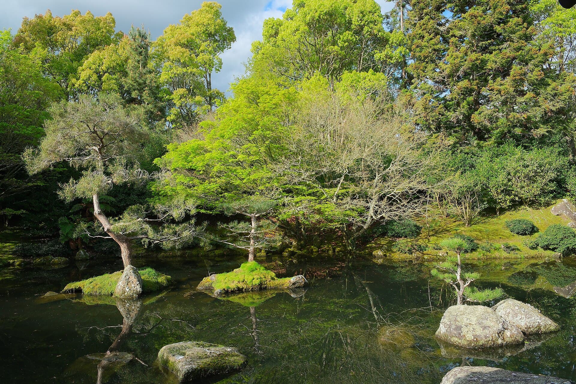 池泉に刈込みの松を映す日本庭園